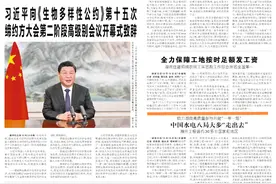 中国水电八局大步“走出去” 海外工程遍布30多个国家和地区图片