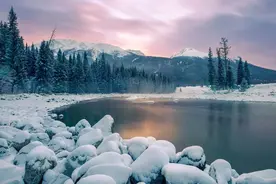 冬天调理身体强免疫，吃好三肉、三白和三雪图片