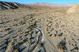 美国这一地区宣布进入紧急状态！图片