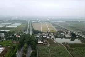 广州南沙推进快速路网建设构建湾区“半小时交通圈”图片
