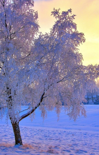 水墨雪歌词表达的意思（夜雨丨王景云水墨雪）