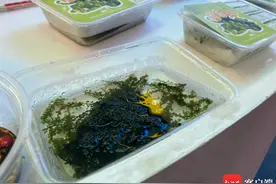 冬交会·现场直击 | “绿色鱼子酱” 海葡萄亮相冬交会 能吃还能用于美容图片