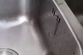 几块钱的挂钩，竟然有这么多的用法，只用来挂衣服太浪费了图片