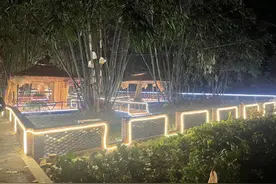 成都新都一街道以院落整治带活林盘经济图片