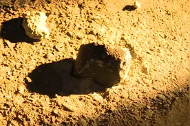 “火流星”高清大图来了！现发现最大陨石碎片重达3斤4两图片