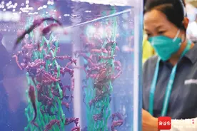 海葡萄、斑兰吐司……冬交会“新”意十足！图片