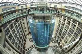 柏林一酒店大型水族箱爆裂 1500条鱼被冲上街图片