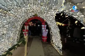 全球连线丨逛温哥华圣诞集市图片