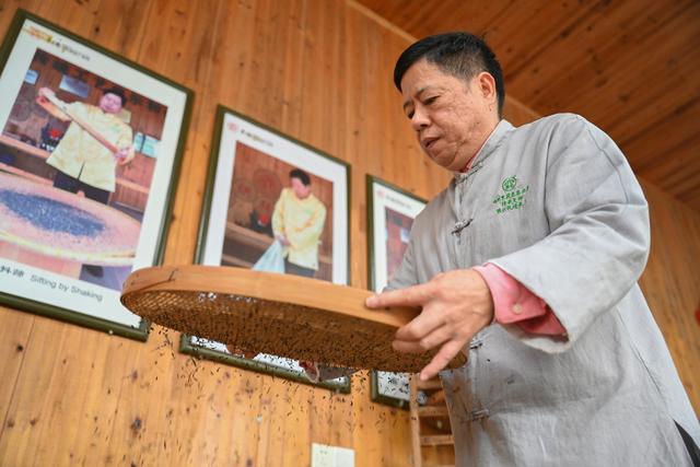 传统工艺花茶（新华全媒福州茉莉花茶的传统窨制工艺）