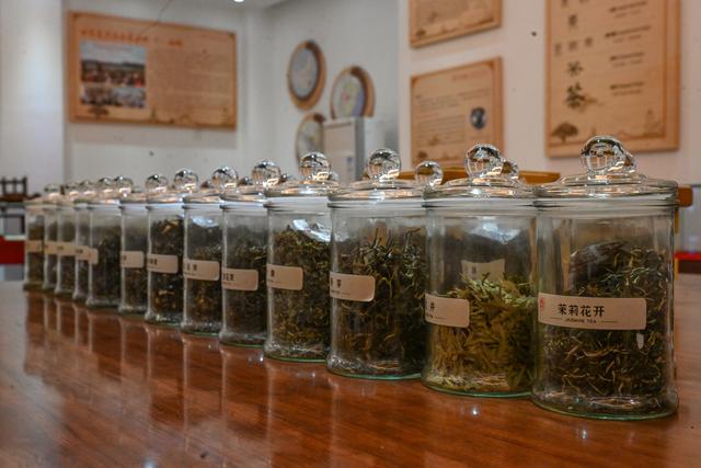 （新华全媒+）福州：茉莉花茶的传统窨制工艺