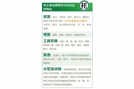 酒、充电宝能带上火车吗……图片