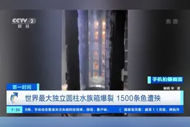世界最大独立圆柱水族箱爆裂！德媒：或由于“材料疲劳”导致图片