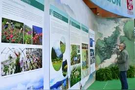 特稿：“中国，我们为你鼓掌”图片