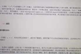孩子玩游戏误充值遭退款难　专家:关键在于实名制能否落到实处图片