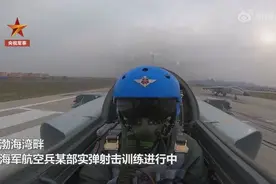 精细！飞行员训练课目难度量身定制图片