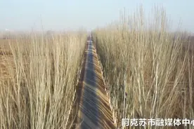 加强道路建设 助力乡村振兴图片