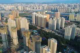 朱民：建议政企合作，向特定的居民群体发放收入补贴和消费券图片