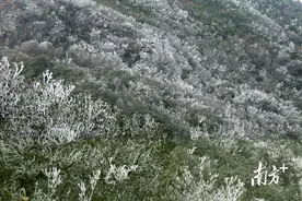 气温骤降后，连平黄牛石邂逅“冰雪奇缘”图片