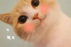 建设“进度条”，刷新！图片