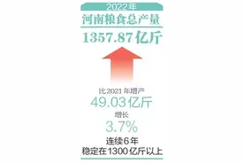 河南粮食总产量居全国第二 丰收数据里藏着河南粮食生产“密码”图片