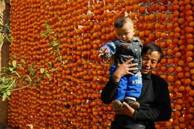 陕西：富平柿饼甜蜜来袭图片