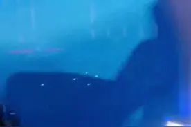 世界杯落幕碰上国庆日 卡塔尔首都多哈今夜无眠图片