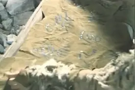 【每日社科】万万没想到，“字”的本义竟是养孩子！图片