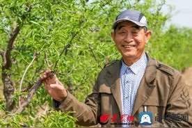 滨州市沾化区野生鸟类科普公益摄影系列展（一）图片