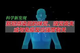 国外研究：新冠感染后嗅觉丧失或与免疫反应强度有关图片