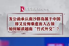 一强大就否认承诺 如何解读越南“竹式外交”？图片