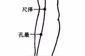 锻炼自身免疫力，做好这“养肺10条”，守好健康屏障图片