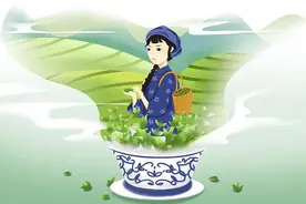 当代散文|学姐清明去采茶图片