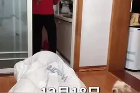 女子生病躺厨房门口指导老公做饭：怕他把厨房弄得乱七八糟图片