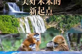 通向人与自然和谐共生美好未来的新起点——写在《生物多样性公约》第十五次缔约方大会第二阶段会议闭幕之际图片