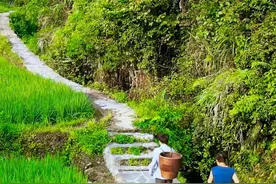 中英双语丨十八洞村小哥吃什么？蒸菜全家福！图片