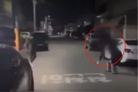 中学生街头无理由殴打女士视频曝光，韩国网民愤怒图片