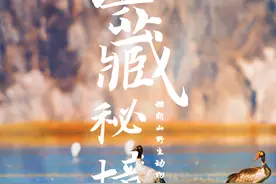 横断山冬季野生动物考察 | 活动报名图片