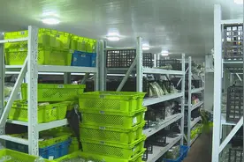 保供提运力，叮咚“临时配送员”上线！图片