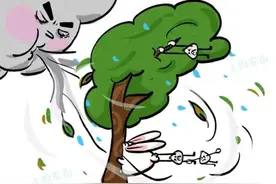 大风天开车注意事项！图片