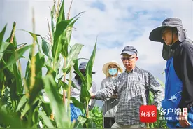 新时代新征程新伟业·记者蹲点 | 中国农业大学三亚研究院：潜心九年磨种“芯”图片