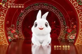 这只安徽兔不简单图片