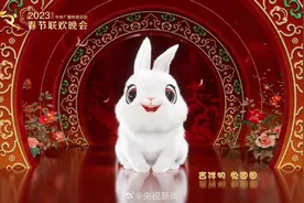 四颗牙的“兔圆圆”原型原来是兔子的 “老祖宗”图片