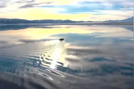 新疆赛里木湖：冬日湖面犹如天空之镜图片