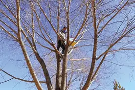 管护人员手工制作鸟巢给候鸟一个舒适的“家”图片
