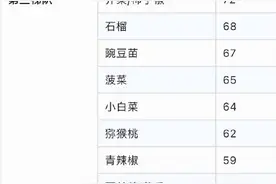 维C含量排行榜图片