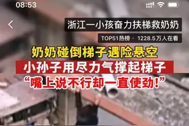 热搜这一幕就在杭州！4岁男孩拼尽全力，扶起3米高梯子救下奶奶图片