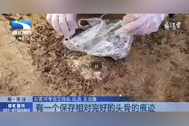湖北石家河遗址发现距今4500多年人类头骨图片