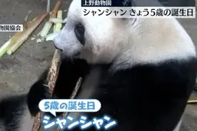 旅日大熊猫“香香”归国时间已定！日本民众曾排队4小时一睹“芳容”→图片