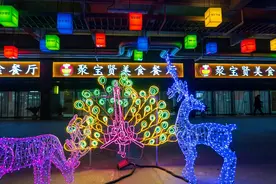 喜迎元旦，郑州富士康灯火璀璨图片