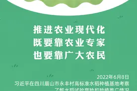 “经常到田间地头看一看”图片